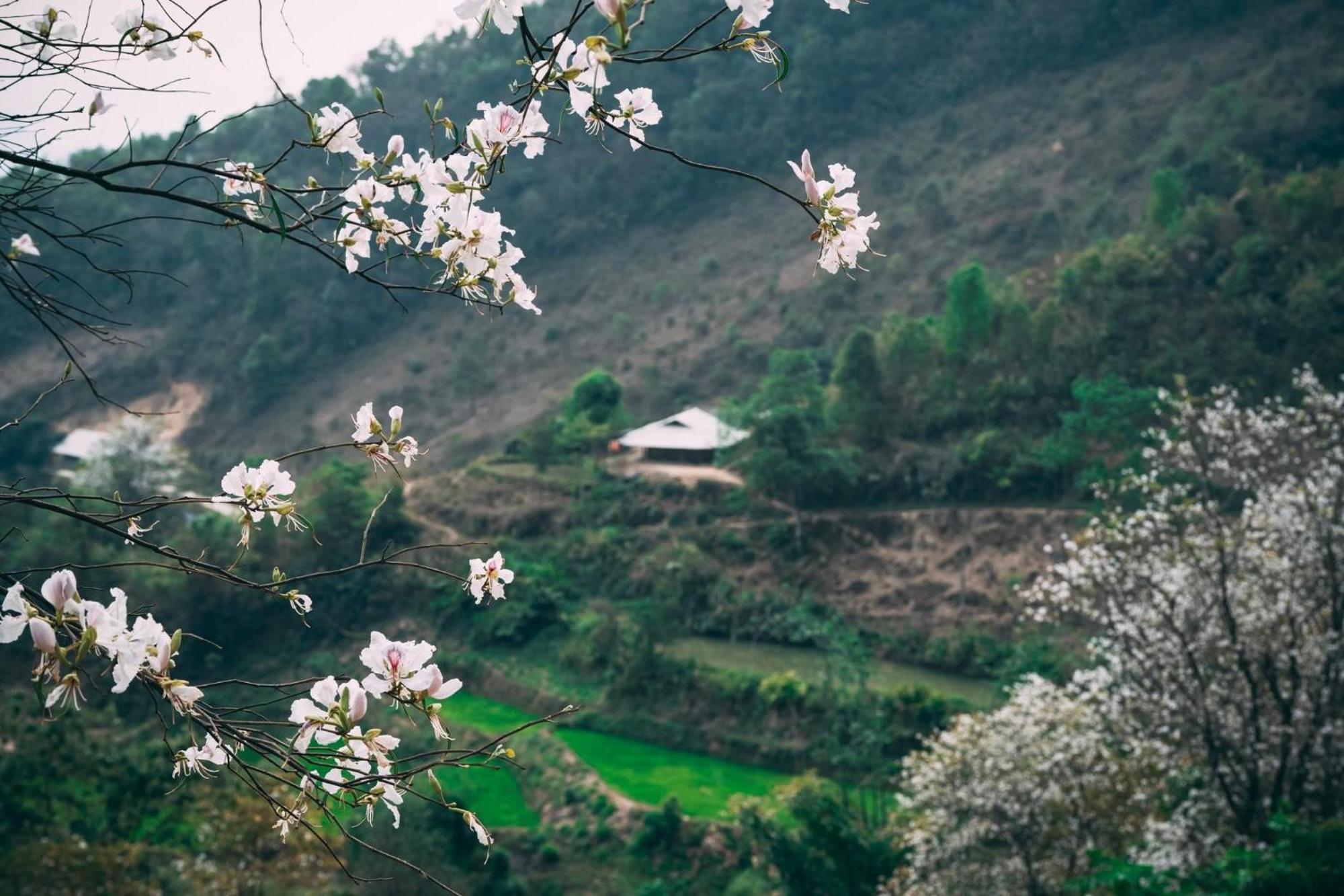 Minh Ngoc Homestay Dien Bien Phu Ban Him Lom Bagian luar foto