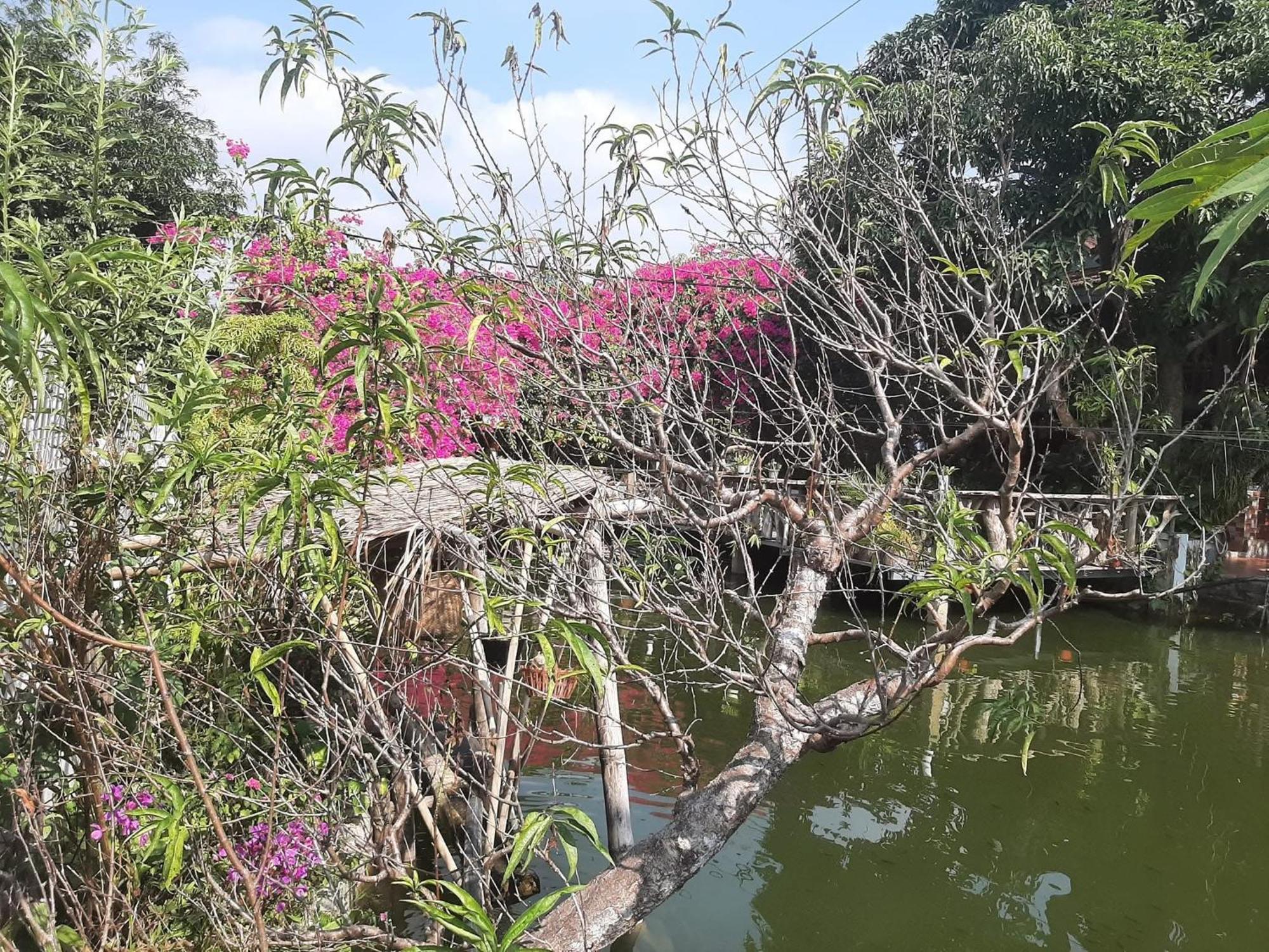 Minh Ngoc Homestay Dien Bien Phu Ban Him Lom Bagian luar foto
